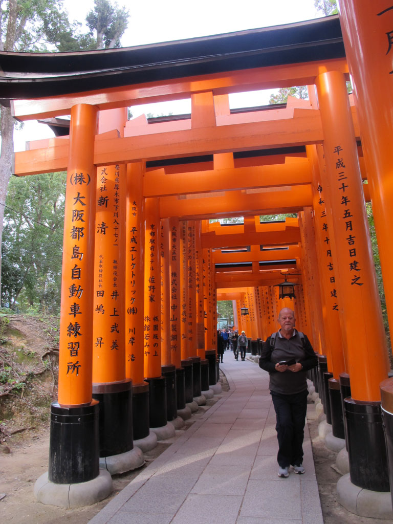 Torii Gates